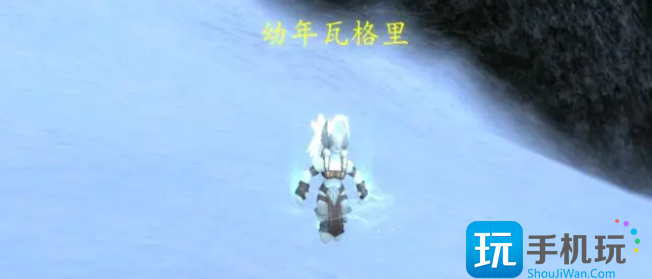 魔兽世界宠物幼年瓦格里怎么获得 魔兽世界宠物幼年瓦格里怎么获得
