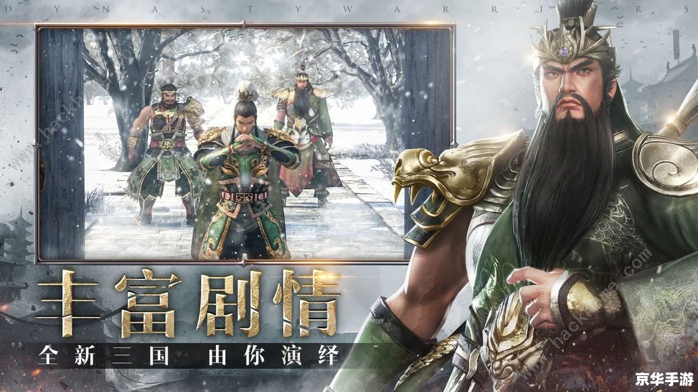 **《三国无双星彩无惨》游戏深度解析**