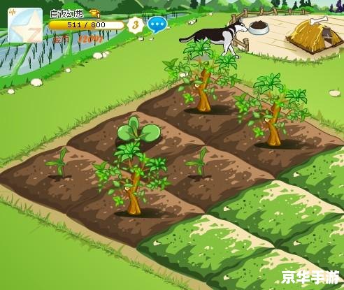 QQ农场最高等级——农场之巅，究竟谁能登顶？