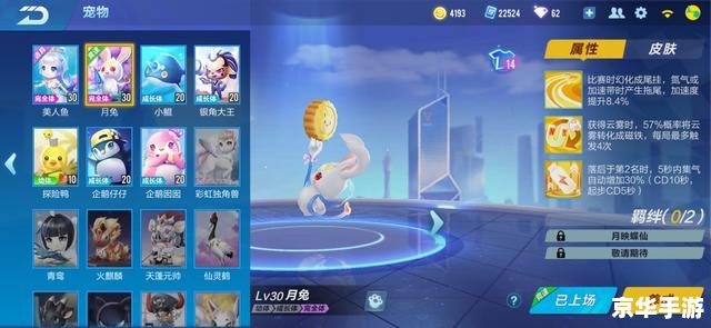 QQ飞车许愿星:璀璨星辰下的竞速梦想