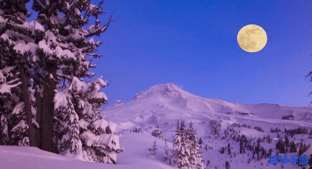 疯狂弹弹堂官网 疯狂弹弹堂：重燃童年激情，开启弹射之旅