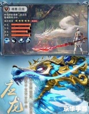 御龙在天饰品：游戏中的华丽点缀