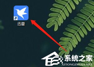 迅雷11怎么进入迅雷论坛页面?迅雷11进入迅雷论坛页面教程