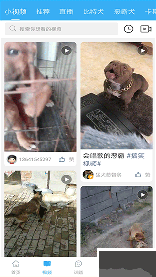 猛犬俱乐部下载_猛犬俱乐部v6.4.1最新版手机app下载