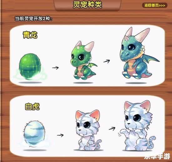 彩虹岛灵宠口粮：宠物养成与战斗力的提升