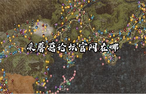 采蘑菇论坛官网在哪