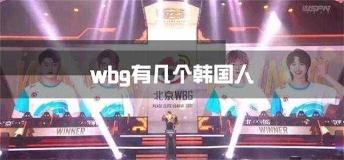 wbg有几个韩国人