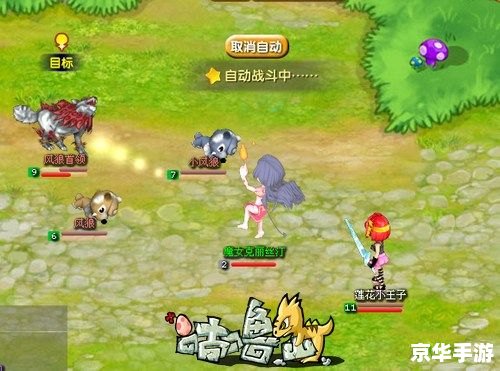 彩虹岛灵宠口粮:宠物养成与战斗力的提升