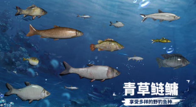 最火的捕鱼游戏排行 免费的钓鱼游戏盘点2025