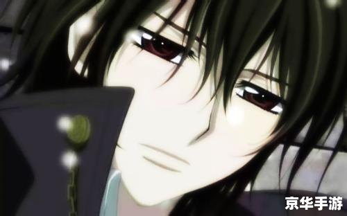 **《吸血鬼骑士之落樱纷飞》:穿越千年的宿命之战**