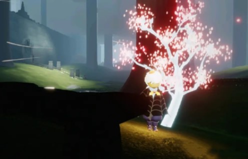 光遇雨林赏花位置在哪里_光遇雨林赏花