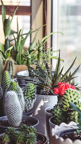 爱花都下载_爱花草app最新手机版v7.3手机app下载