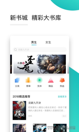 正版资料大全全年2019小说
