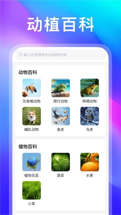 动物世界app最新消息下载_动物世界手机版v1.1.3手机app下载