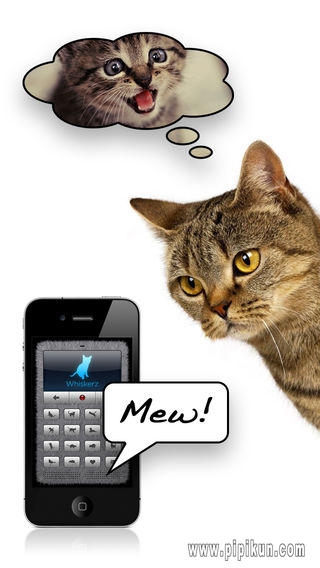 humantocat下载_humantocatapp软件v1.4软件下载