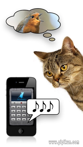 humantocat下载_humantocatapp软件v1.4软件下载