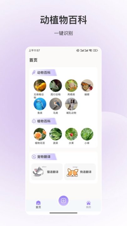 百科全书下载_百科全书appv3.5.6手机app下载