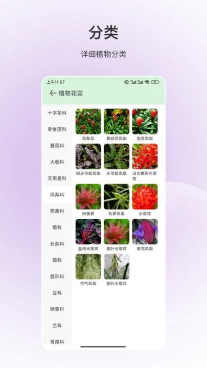 百科全书下载_百科全书appv3.5.6手机app下载