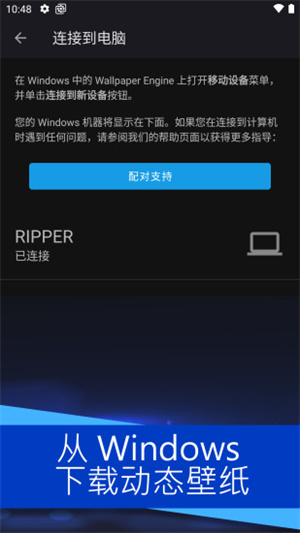 麻匪动态壁纸下载免费下载_麻匪动态壁纸v2.3.0免费app下载