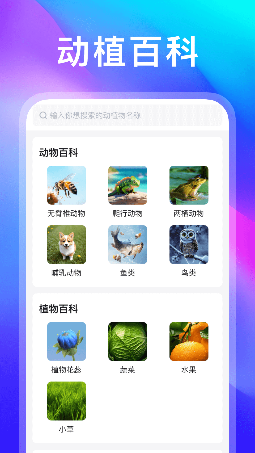 动物世界app最新消息下载_动物世界安卓版v1.1.3下载