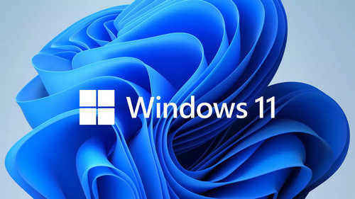 win11电脑wifi功能不见了的解决方法