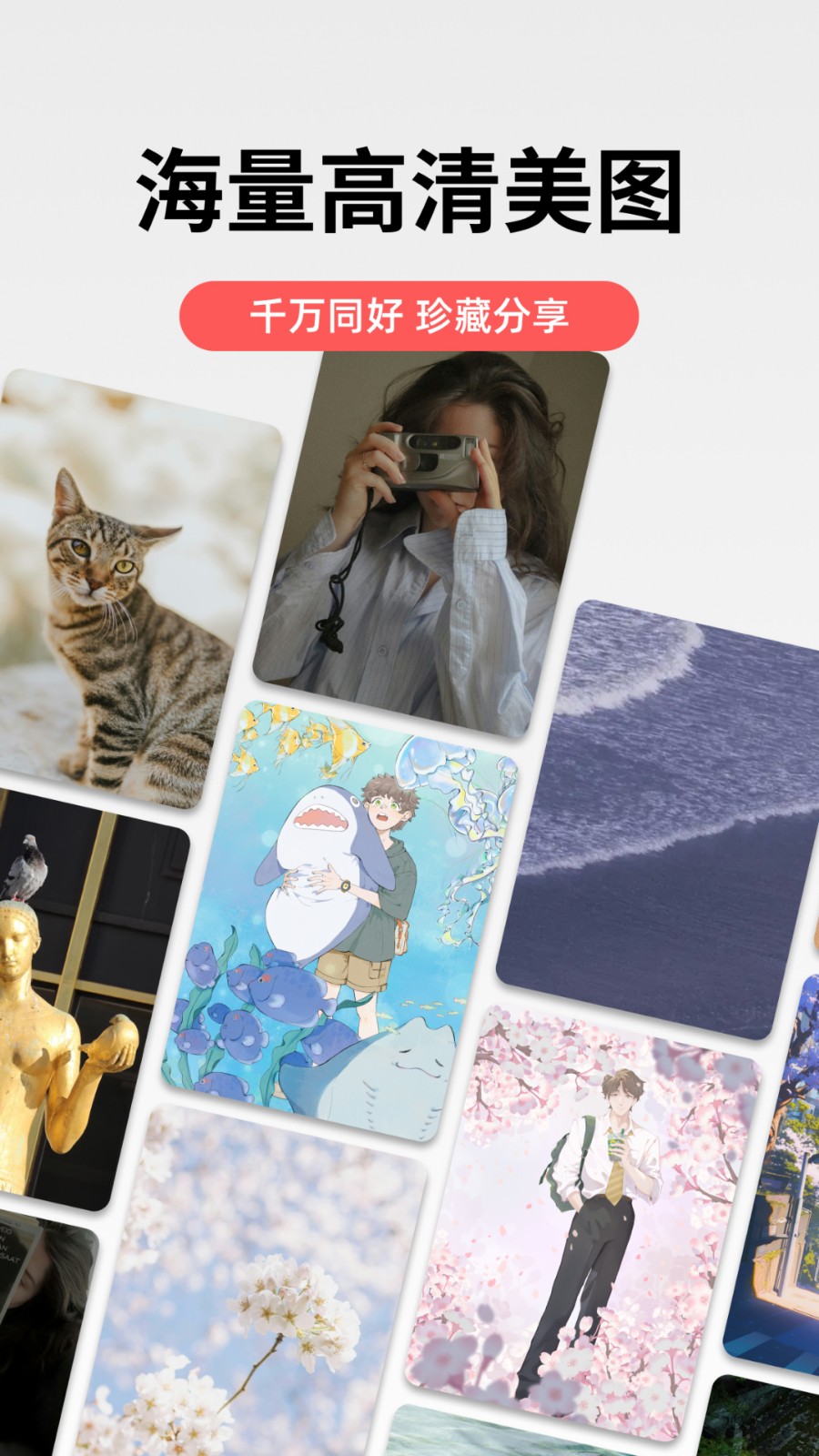 堆糖下载_堆糖appv8.65.1免费下载
