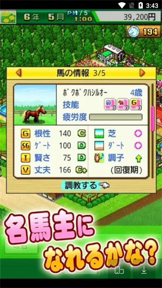 顶级跑马牧场修改下载_顶级跑马牧场中文版V1.00无限金币无限血统版手机app下载