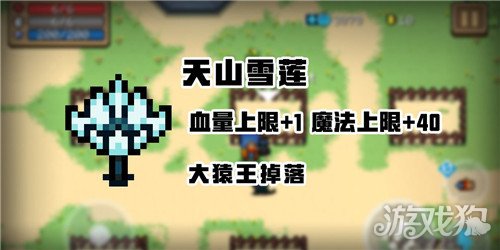 元气骑士天山雪莲获取方式 天山雪莲获得方式