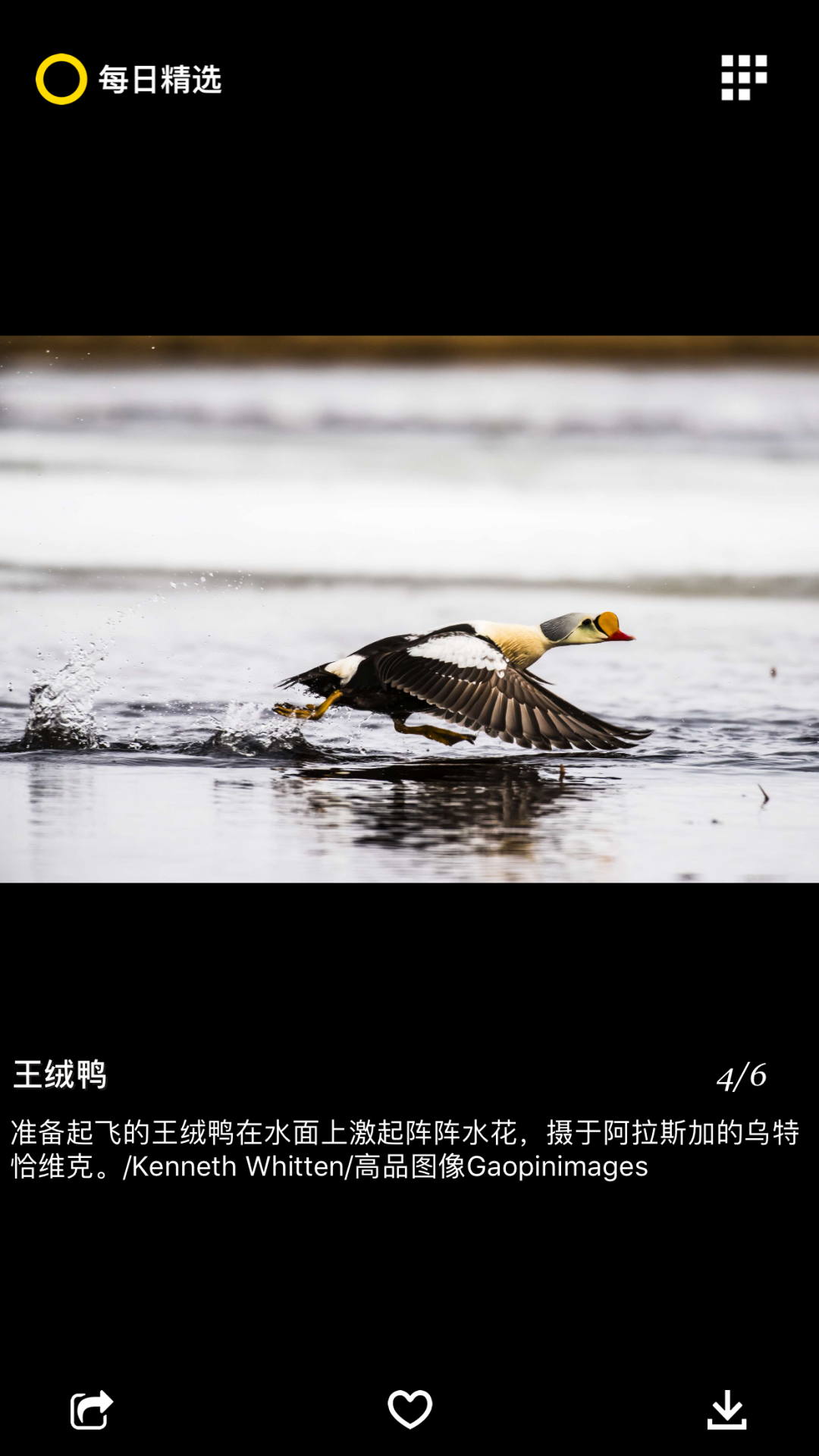 国家地理下载_每日精选安卓版v3.0.3推荐下载