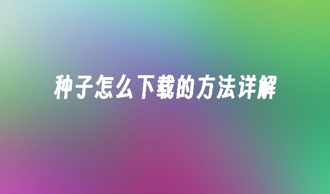 种子怎么下载的方法详解
