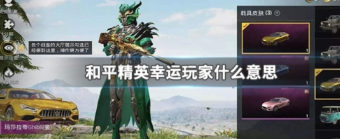 和平精英幸运玩家什么意思