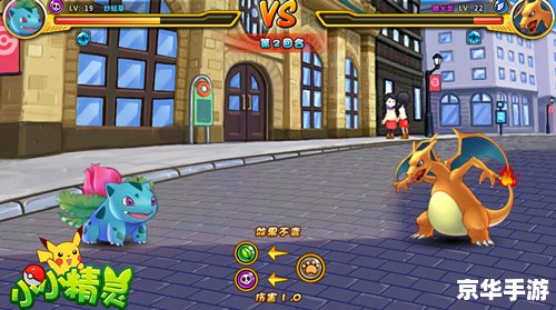 神奇宝贝屋：探索、收集与战斗的奇妙世界