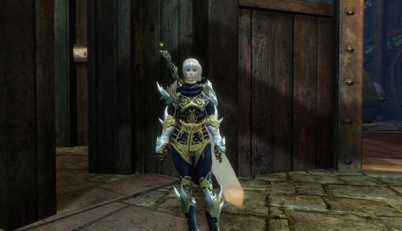 激战2奶妈有哪些