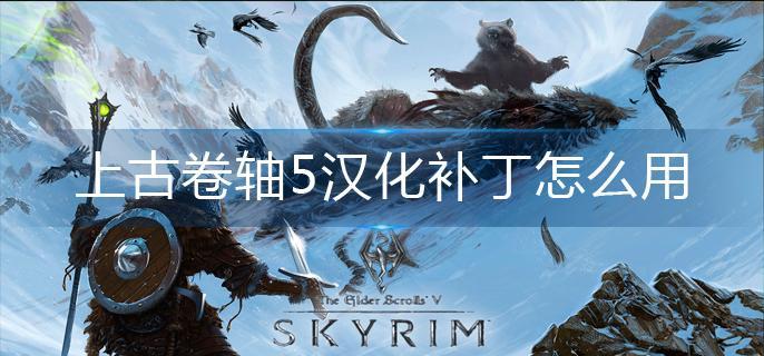 上古卷轴5汉化补丁怎么用
