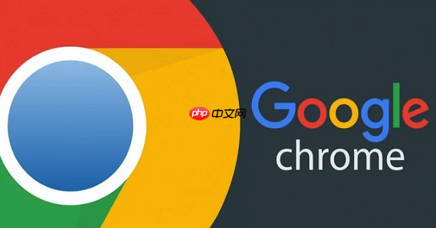 谷歌浏览器404错误处理-Google浏览器404故障排除指南