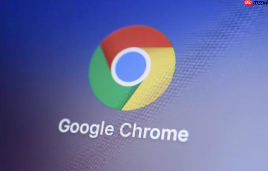 谷歌浏览器404错误处理-Google浏览器404故障排除指南