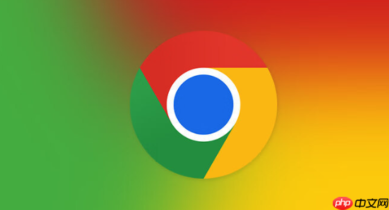 谷歌浏览器404错误处理-Google浏览器404故障排除指南