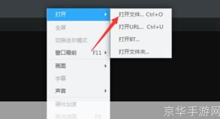 迅雷看看5怎么用: 迅雷看看5的使用方法详解
