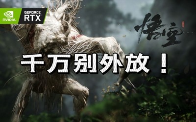 黑神话悟空标准版和豪华版哪个好_黑神话悟空标准版和豪华版的区别