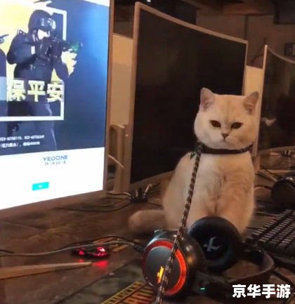 CF猫咪透视:游戏内作弊行为的探讨与抵制 CF猫咪透视:游戏内作弊行为的探讨与抵制