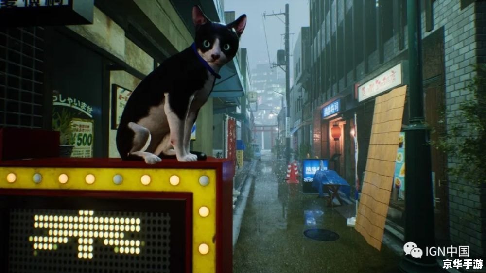 CF猫咪透视:游戏内作弊行为的探讨与抵制 CF猫咪透视:游戏内作弊行为的探讨与抵制