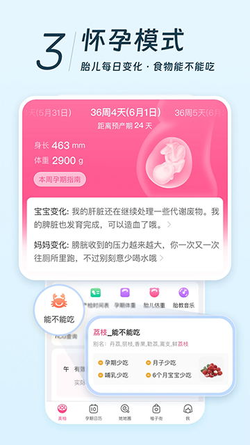 美柚下载_美柚v8.96.0.0免费app下载