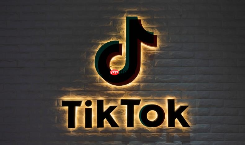 tiktok官网网址 tiktok官网链接