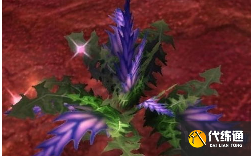 魔兽世界盲目草多少可以采,盲目草采集地点分布一览_盲目草哪里多