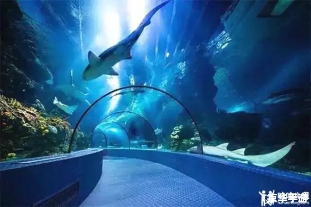 建议:《梦幻海底进不去,原因及解决方法全解析》 建议:《梦幻海底进不去,原因及解决方法全解析》