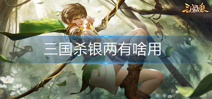 三国杀银两有啥用
