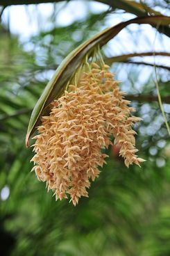 腾龙17-50mmVC实拍样张