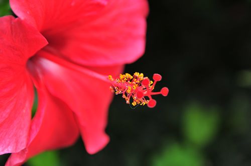 腾龙17-50mmVC实拍样张