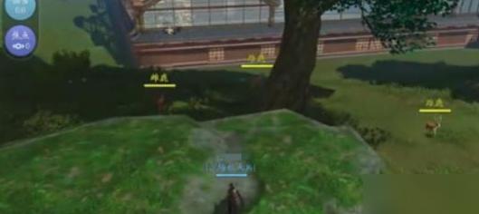 剑网3无界怎么抓马 剑网3无界怎么抓马