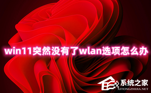 Win11突然没有了wlan选项怎么办?